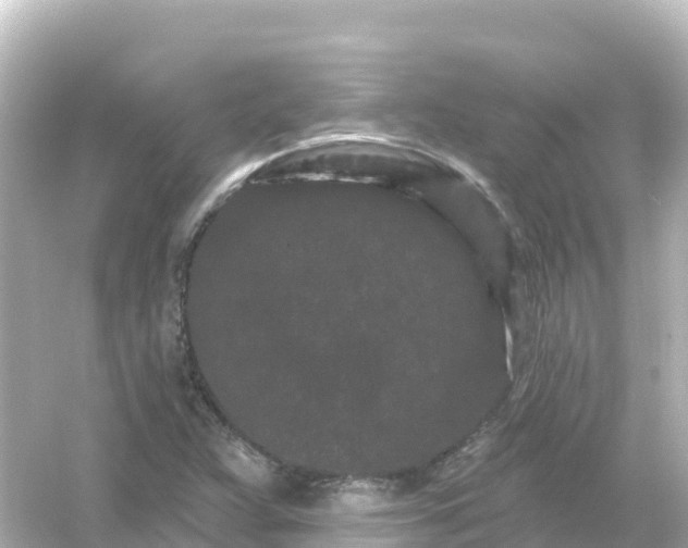 X0000054461359200508051940