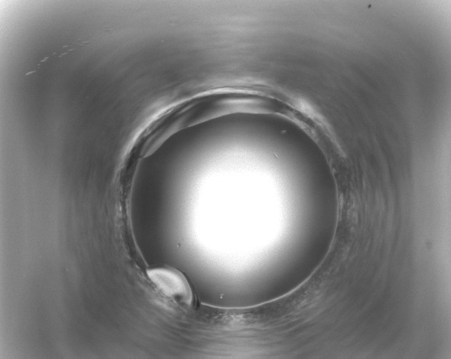 X0000054461360200508051940