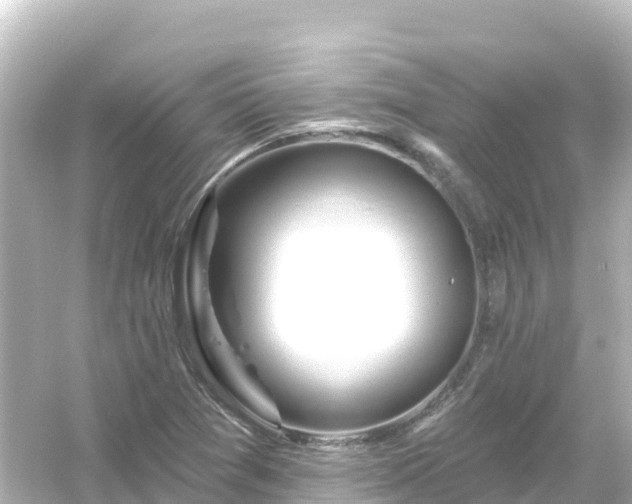 X0000054461361200508051940