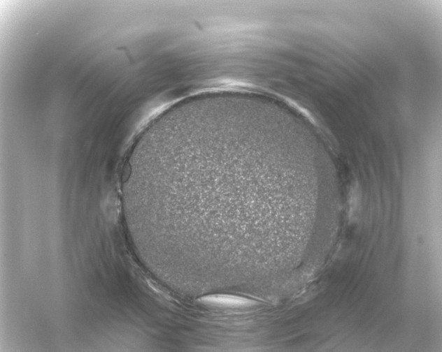 X0000054461363200508051940