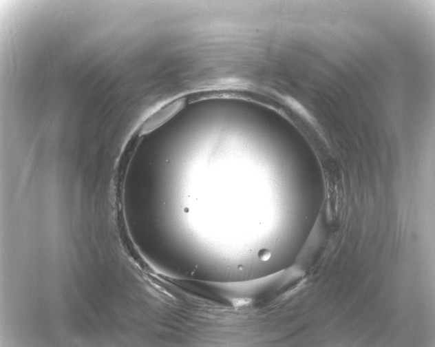 X0000054461364200508051940