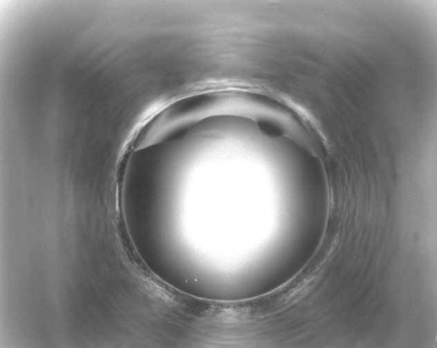 X0000054461365200508051940