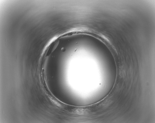 X0000054461366200508051940