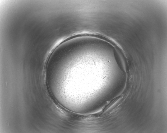 X0000054461367200508051940