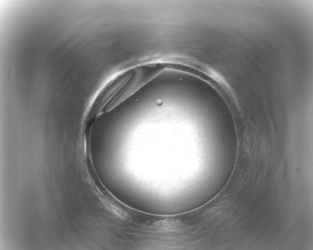 X0000054461368200508051940