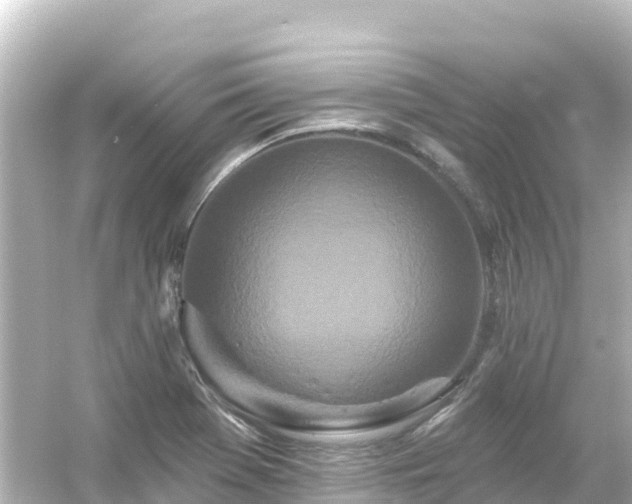 X0000054461369200508051940