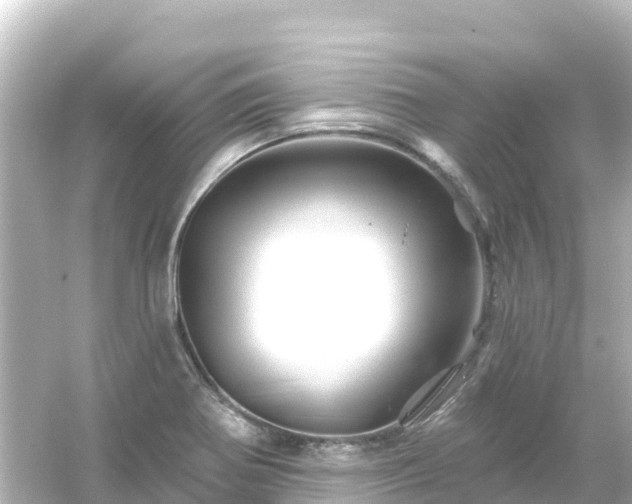 X0000054461370200508051940