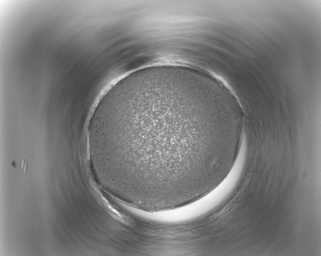 X0000054461371200508051940