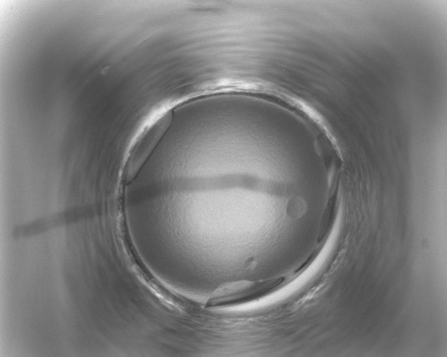 X0000054461373200508051940