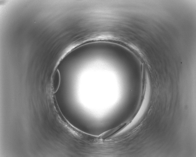 X0000054461374200508051940