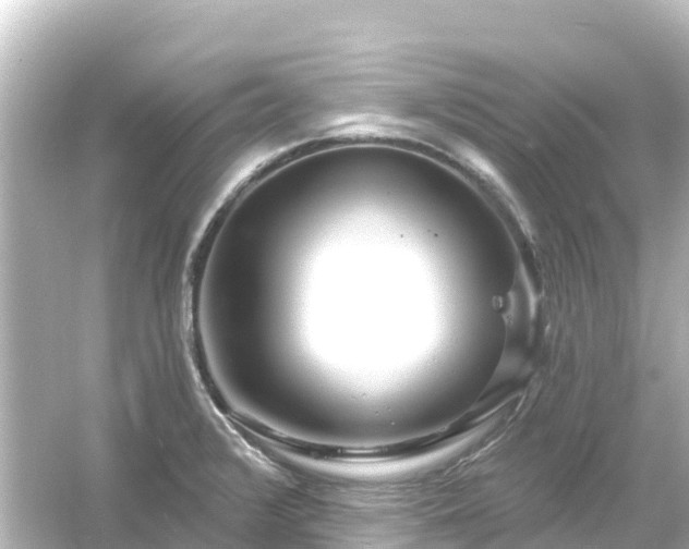 X0000054461376200508051940