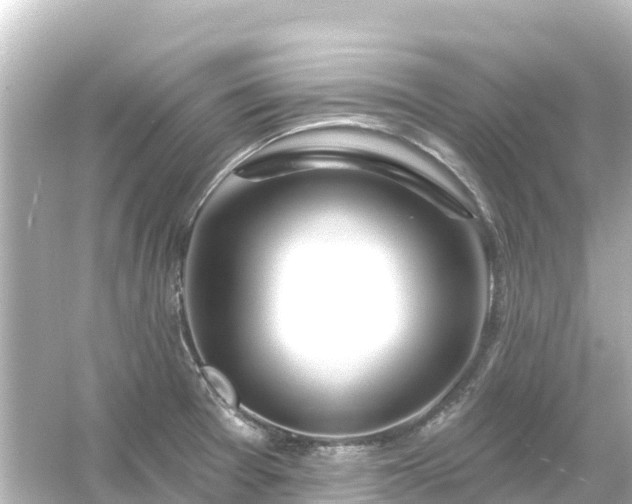 X0000054461377200508051940