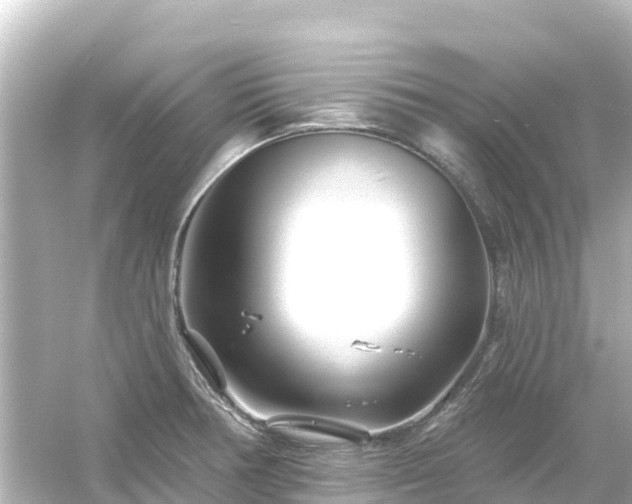 X0000054461378200508051940