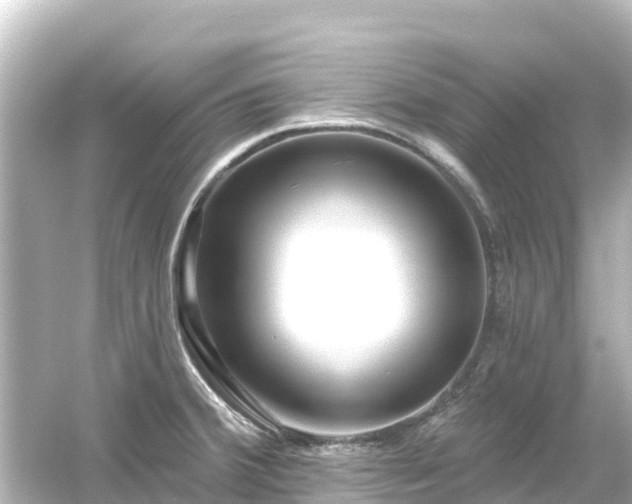 X0000054461380200508051939