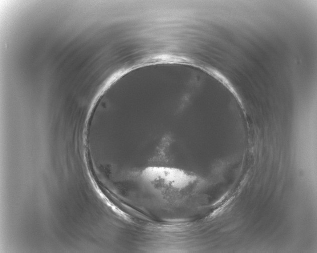 X0000054461381200508051939