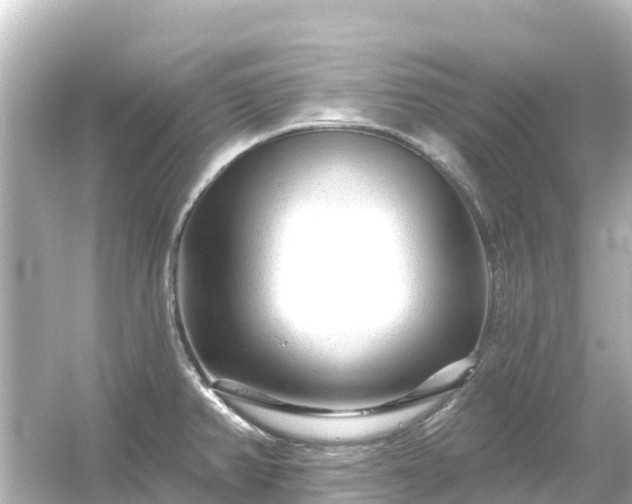 X0000054461382200508051939