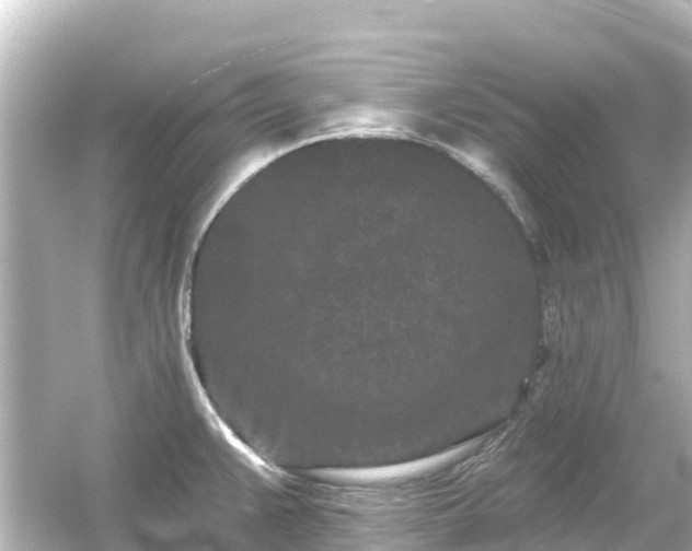 X0000054461383200508051939