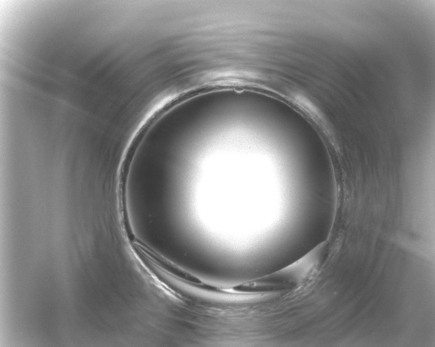 X0000054461384200508051939