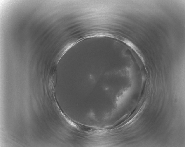 X0000054461385200508051939