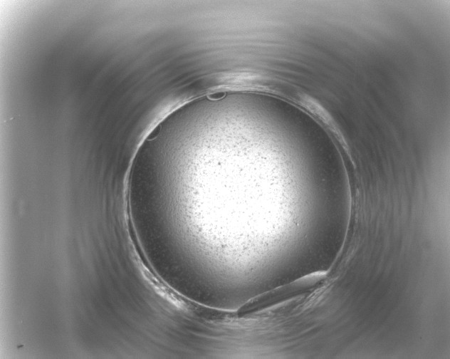 X0000054461386200508051939