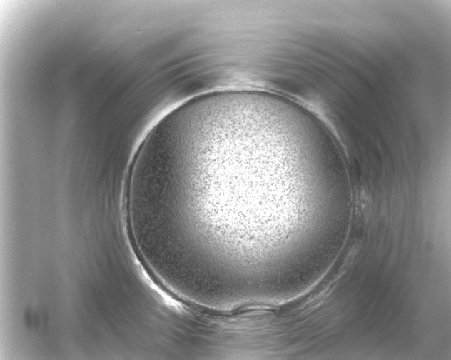 X0000054461387200508051939