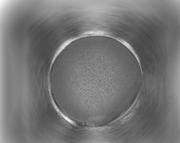 X0000054461389200508051939