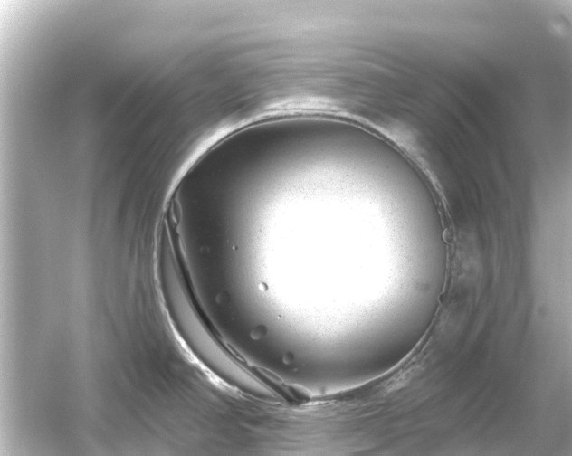 X0000054461390200508051939