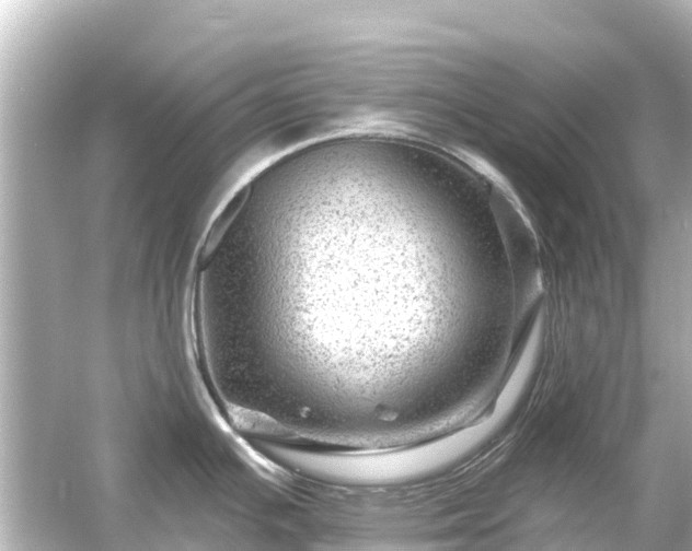 X0000054461391200508051939