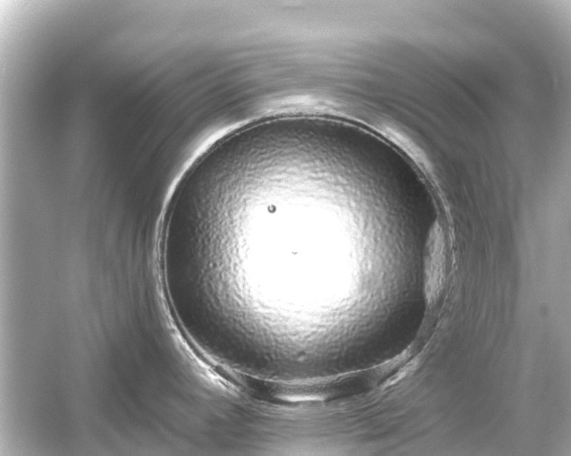 X0000054461392200508051939