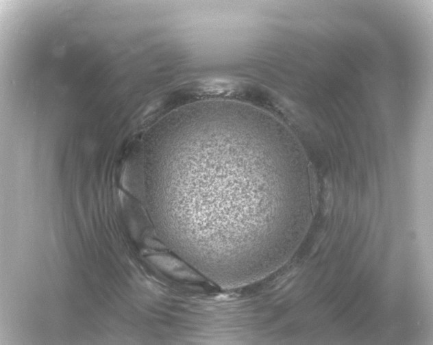 X0000054461394200508051938