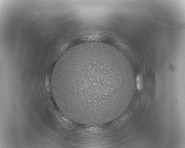 X0000054461395200508051938