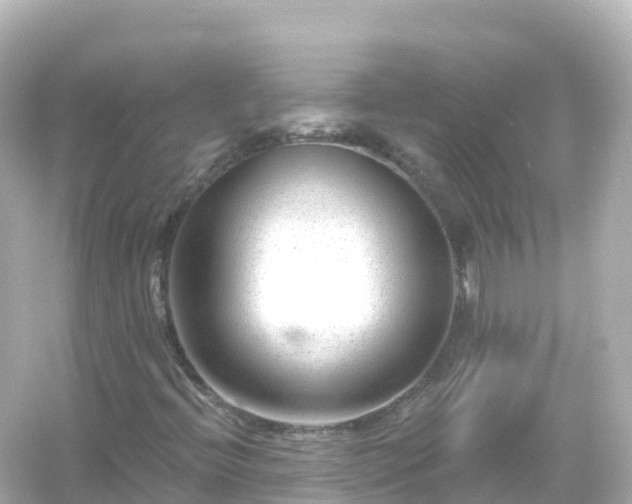 X0000054461396200508051939