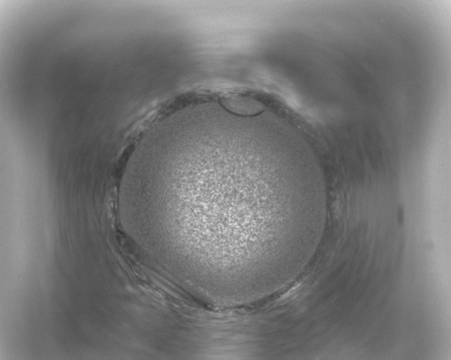 X0000054461397200508051939