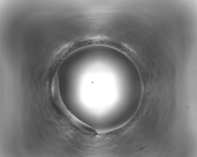 X0000054461398200508051939