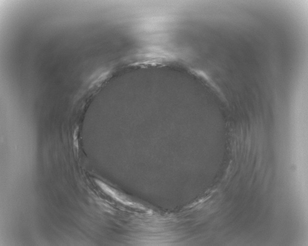 X0000054461399200508051939