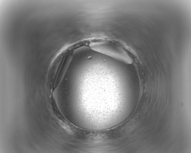 X0000054461400200508051939