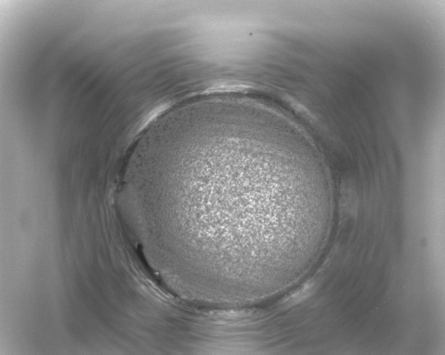 X0000054461401200508051939