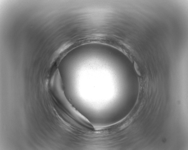 X0000054461402200508051939