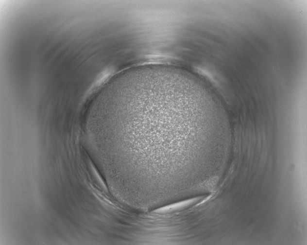 X0000054461403200508051939