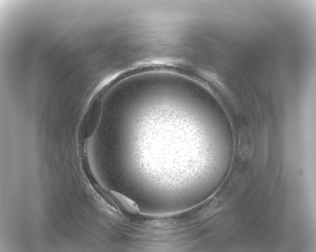 X0000054461404200508051939