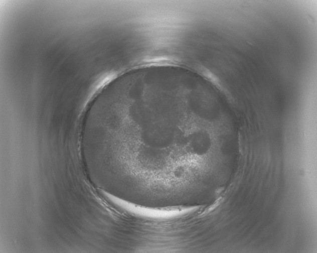 X0000054461405200508051939