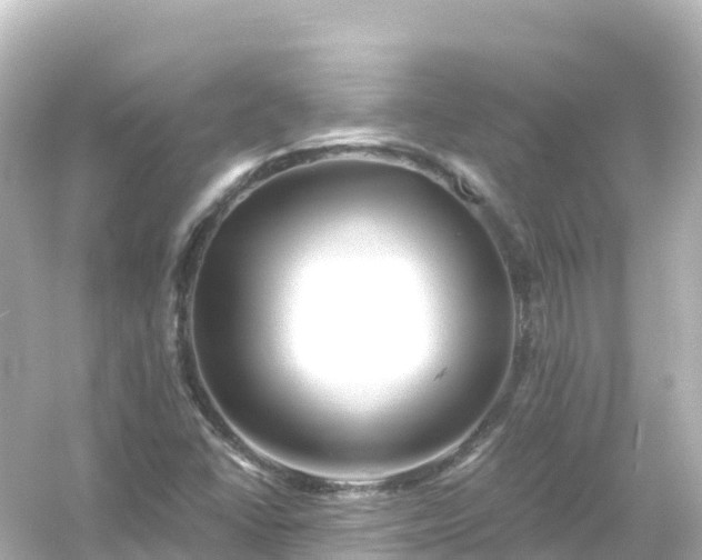 X0000054461406200508051939