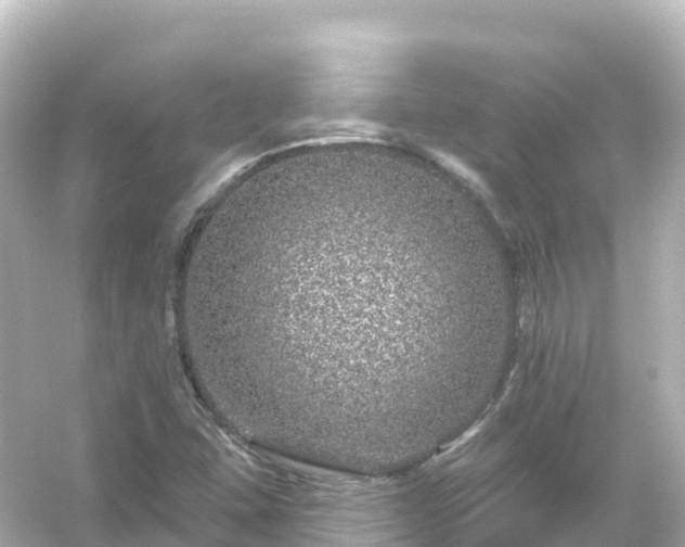 X0000054461407200508051939