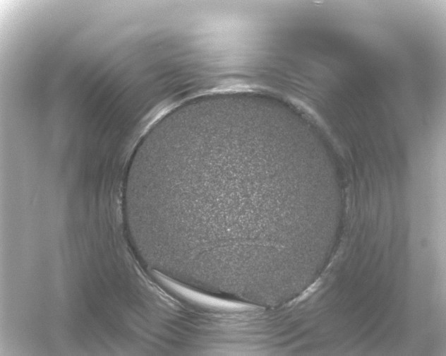 X0000054461409200508051939