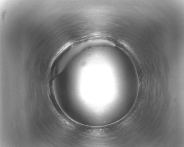 X0000054461410200508051939