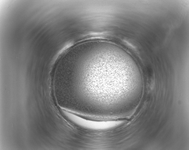 X0000054461411200508051939