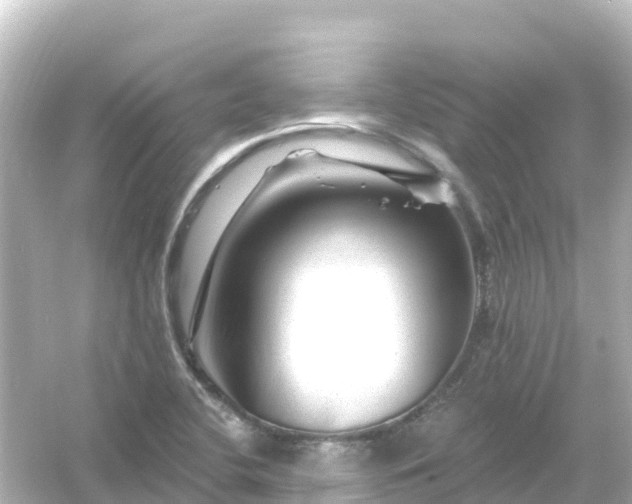 X0000054461412200508051939