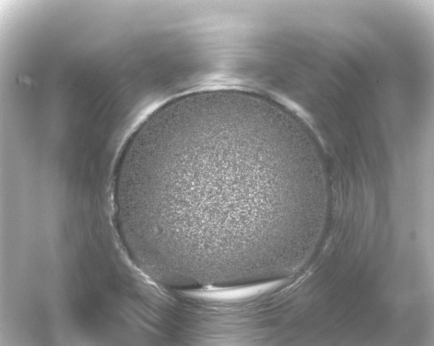 X0000054461415200508051939