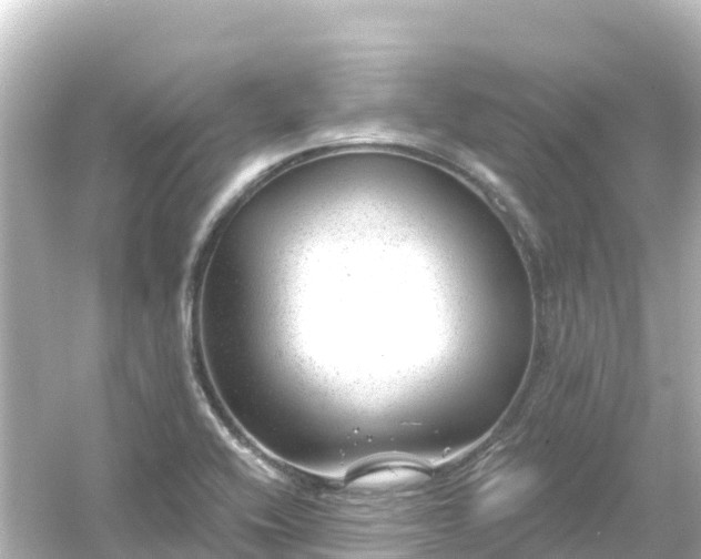 X0000054461416200508051939