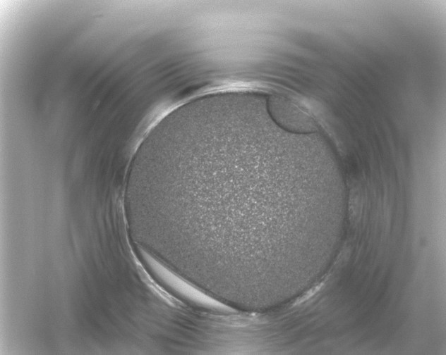 X0000054461417200508051939